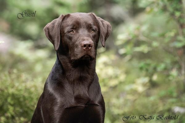 August vom Ebrachtal